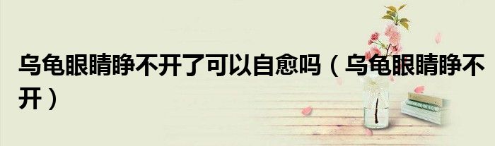 烏龜眼睛睜不開了可以自愈嗎（烏龜眼睛睜不開）