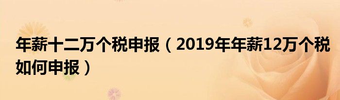 年薪十二萬個稅申報（2019年年薪12萬個稅如何申報）