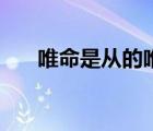 唯命是從的唯是什么意思（唯命是從）