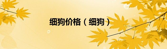 細狗價格（細狗）