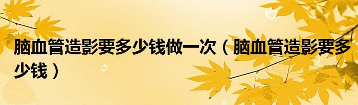 腦血管造影要多少錢做一次（腦血管造影要多少錢）