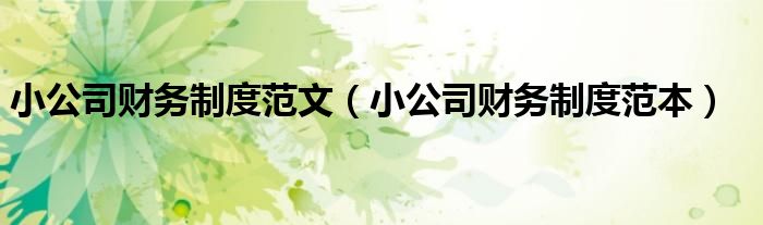 小公司財務(wù)制度范文（小公司財務(wù)制度范本）