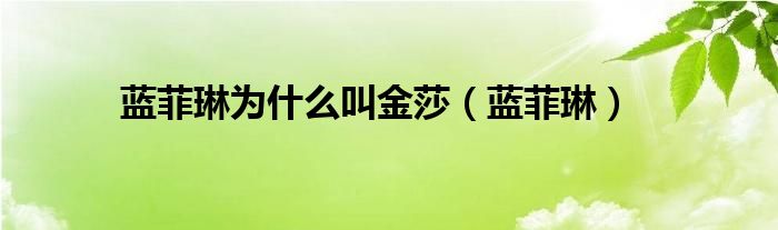 藍菲琳為什么叫金莎（藍菲琳）