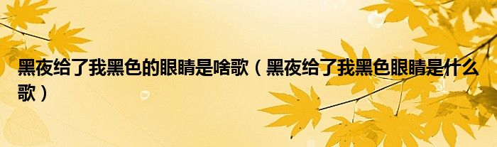 黑夜給了我黑色的眼睛是啥歌（黑夜給了我黑色眼睛是什么歌）