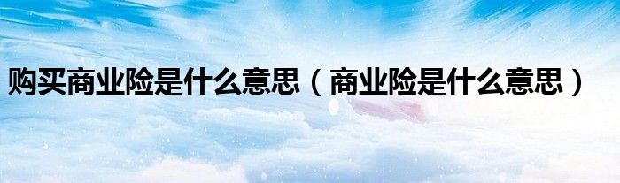 購買商業(yè)險是什么意思（商業(yè)險是什么意思）