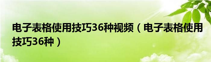 電子表格使用技巧36種視頻（電子表格使用技巧36種）