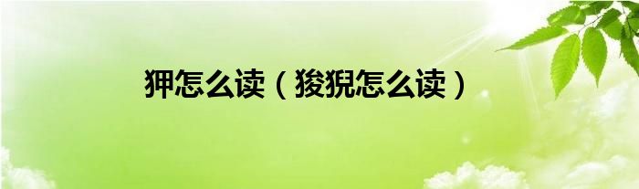 狎怎么讀（狻猊怎么讀）