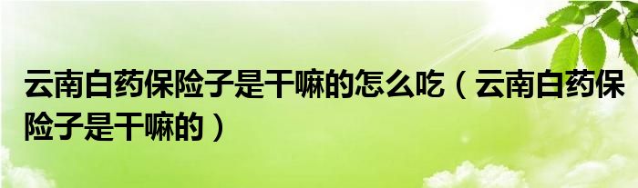 云南白藥保險子是干嘛的怎么吃（云南白藥保險子是干嘛的）