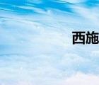 西施熊倉鼠（西施熊）