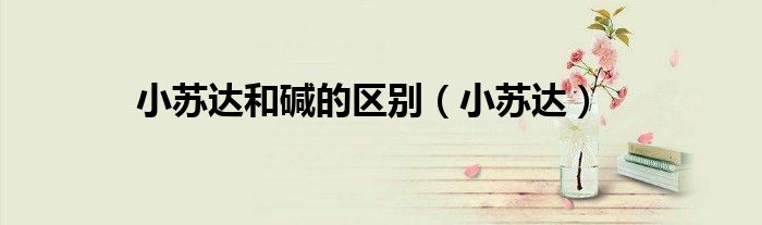 小蘇達(dá)和堿的區(qū)別（小蘇達(dá)）