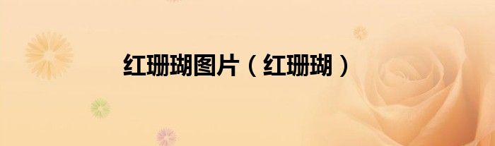 紅珊瑚圖片（紅珊瑚）
