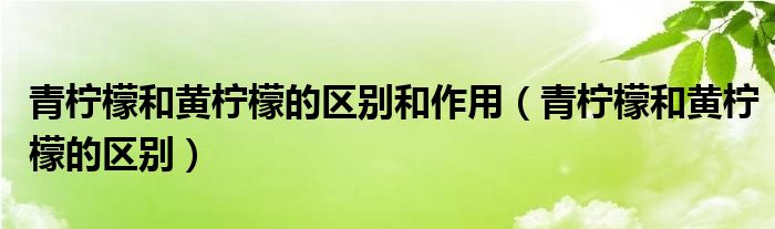 青檸檬和黃檸檬的區(qū)別和作用（青檸檬和黃檸檬的區(qū)別）