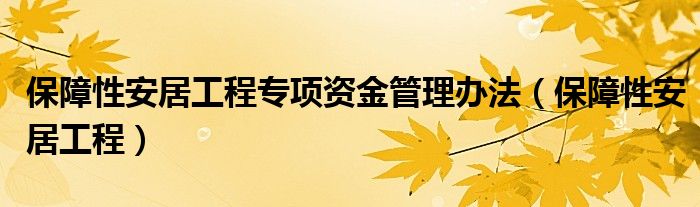 保障性安居工程專項資金管理辦法（保障性安居工程）