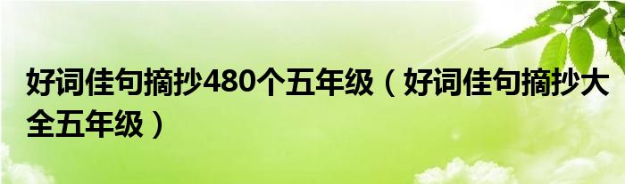 好詞佳句摘抄480個五年級（好詞佳句摘抄大全五年級）