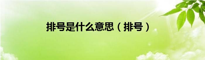 排號是什么意思（排號）