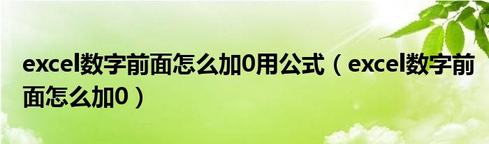 excel數(shù)字前面怎么加0用公式（excel數(shù)字前面怎么加0）