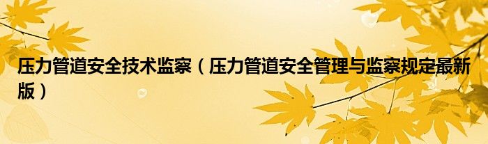 壓力管道安全技術(shù)監(jiān)察（壓力管道安全管理與監(jiān)察規(guī)定最新版）
