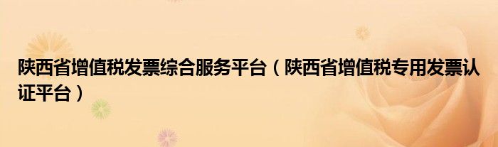 陜西省增值稅發(fā)票綜合服務(wù)平臺（陜西省增值稅專用發(fā)票認(rèn)證平臺）