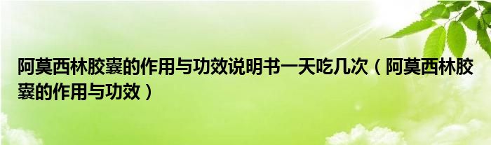 阿莫西林膠囊的作用與功效說(shuō)明書一天吃幾次（阿莫西林膠囊的作用與功效）
