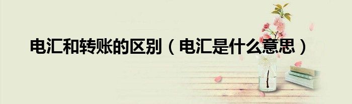 電匯和轉(zhuǎn)賬的區(qū)別（電匯是什么意思）