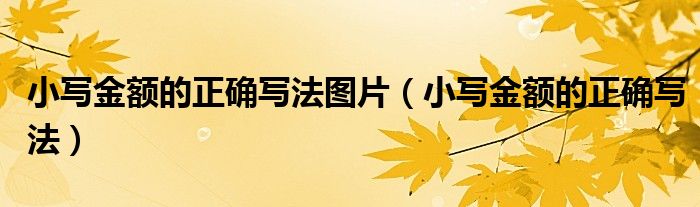 小寫金額的正確寫法圖片（小寫金額的正確寫法）