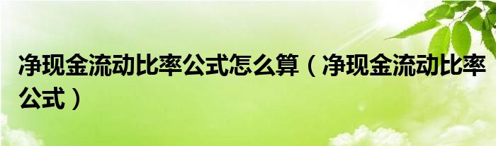 凈現(xiàn)金流動比率公式怎么算（凈現(xiàn)金流動比率公式）