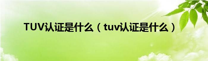 TUV認(rèn)證是什么（tuv認(rèn)證是什么）
