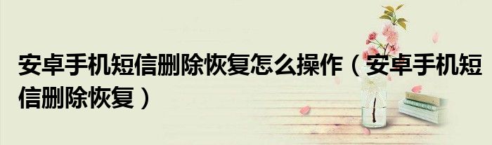 安卓手機(jī)短信刪除恢復(fù)怎么操作（安卓手機(jī)短信刪除恢復(fù)）