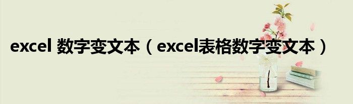 excel 數(shù)字變文本（excel表格數(shù)字變文本）