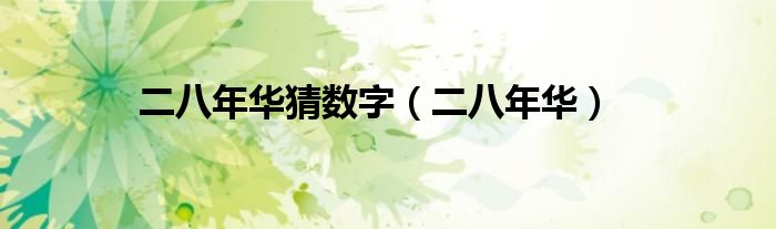 二八年華猜數(shù)字（二八年華）