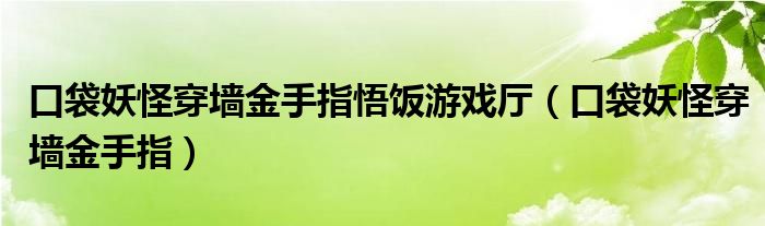 口袋妖怪穿墻金手指悟飯游戲廳（口袋妖怪穿墻金手指）