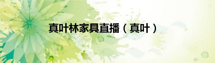 真葉林家具直播（真葉）