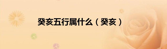 癸亥五行屬什么（癸亥）