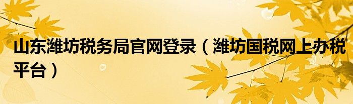 山東濰坊稅務局官網登錄（濰坊國稅網上辦稅平臺）