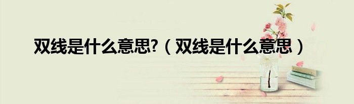 雙線是什么意思?（雙線是什么意思）