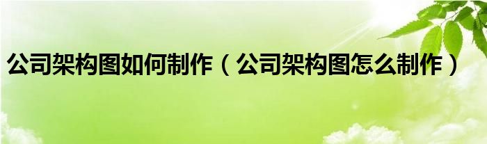 公司架構(gòu)圖如何制作（公司架構(gòu)圖怎么制作）