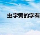蟲字旁的字有哪些（提手旁的字有哪些）
