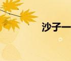 沙子一立方多少噸（沙子）