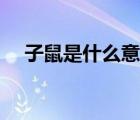 子鼠是什么意思講解（子鼠是什么意思）