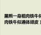 黑熊一身粗肉鐵牛似遍體頑皮是水滸傳中的誰（黑熊一身粗肉鐵牛似遍體頑皮）