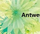 Antwerp 翻譯（antwerp）