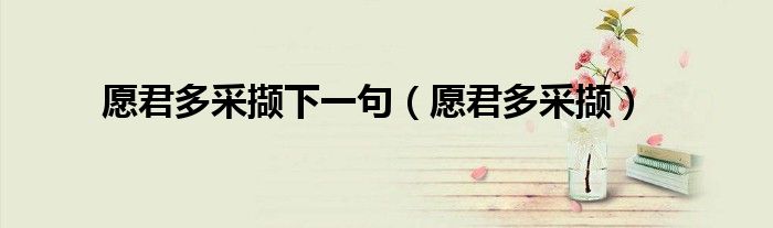 愿君多采擷下一句（愿君多采擷）
