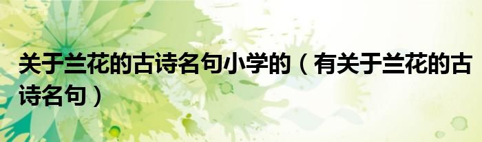 關(guān)于蘭花的古詩名句小學(xué)的（有關(guān)于蘭花的古詩名句）