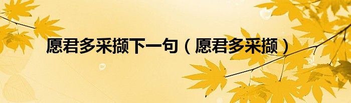 愿君多采擷下一句（愿君多采擷）