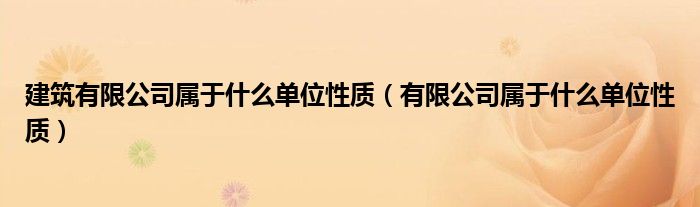 建筑有限公司屬于什么單位性質(zhì)（有限公司屬于什么單位性質(zhì)）