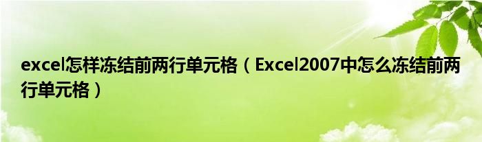excel怎樣凍結(jié)前兩行單元格（Excel2007中怎么凍結(jié)前兩行單元格）