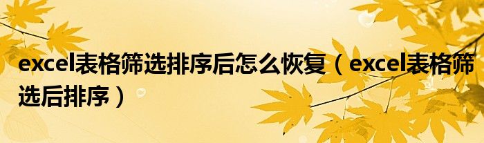 excel表格篩選排序后怎么恢復(fù)（excel表格篩選后排序）