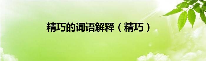 精巧的詞語解釋（精巧）