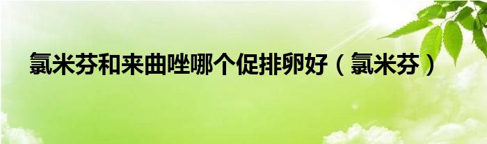 氯米芬和來曲唑哪個促排卵好（氯米芬）