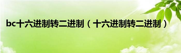 bc十六進(jìn)制轉(zhuǎn)二進(jìn)制（十六進(jìn)制轉(zhuǎn)二進(jìn)制）